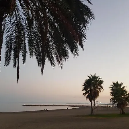 Terraza Del Limonar Hostel *
